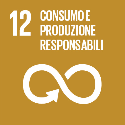 icona dell'obiettivo n.12 dell'agenda ONU 2030 per lo sviluppo sostenibile